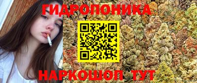прущая мука Гусев