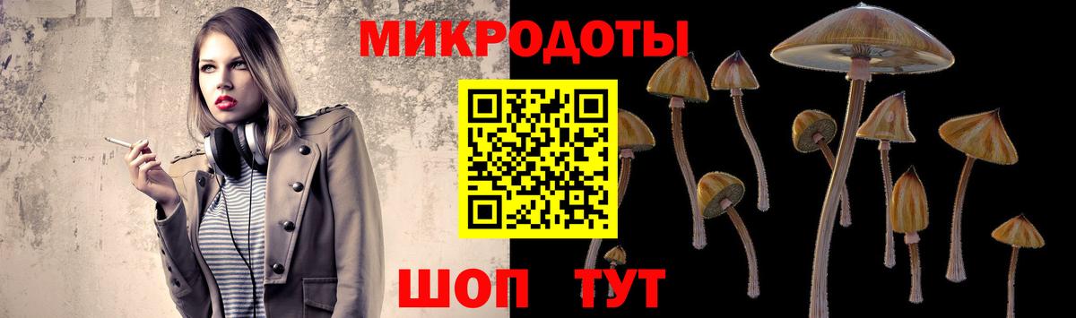наркотики  Вход с VPN  Псилоцибиновые грибы MAGIC MUSHROOMS  Люберцы  Псилоцибиновые грибы Cubensis 